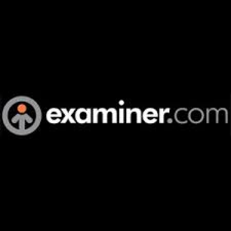 The Examiner 